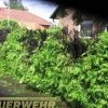 Brandeinsatz sonstige